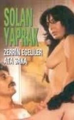 Ağa Düşen Kadın (Zerrin Egeliler) izle