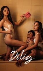 Dilig Erotik Film izle