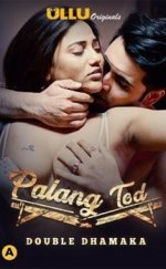 Palang Tod Double Dhamaka izle