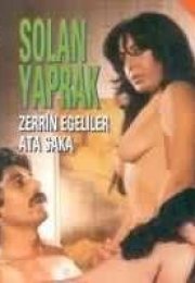 Ağa Düşen Kadın (Zerrin Egeliler) izle