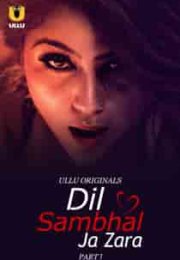 Dil Sambhal Ja Zara Erotik film izle