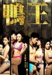 The Gigolo 1 izle